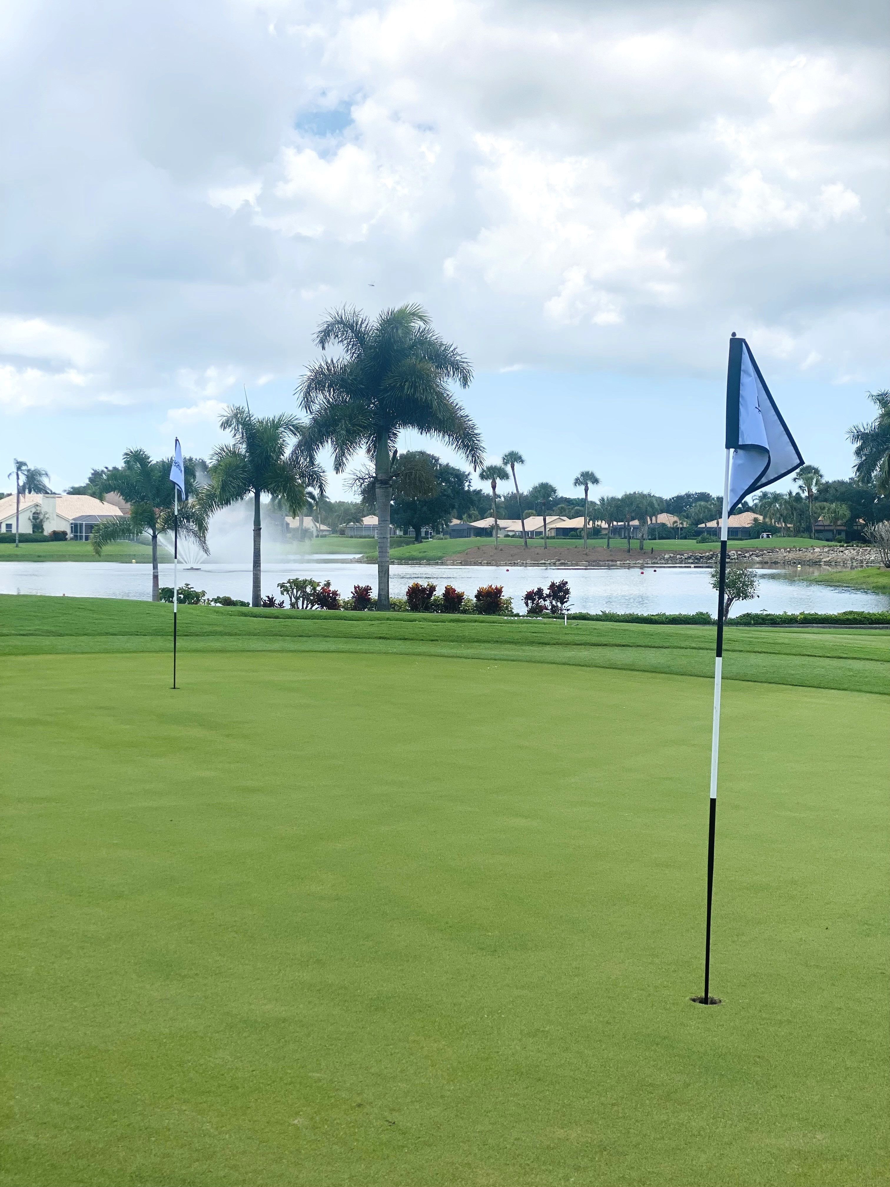 golf ball on course